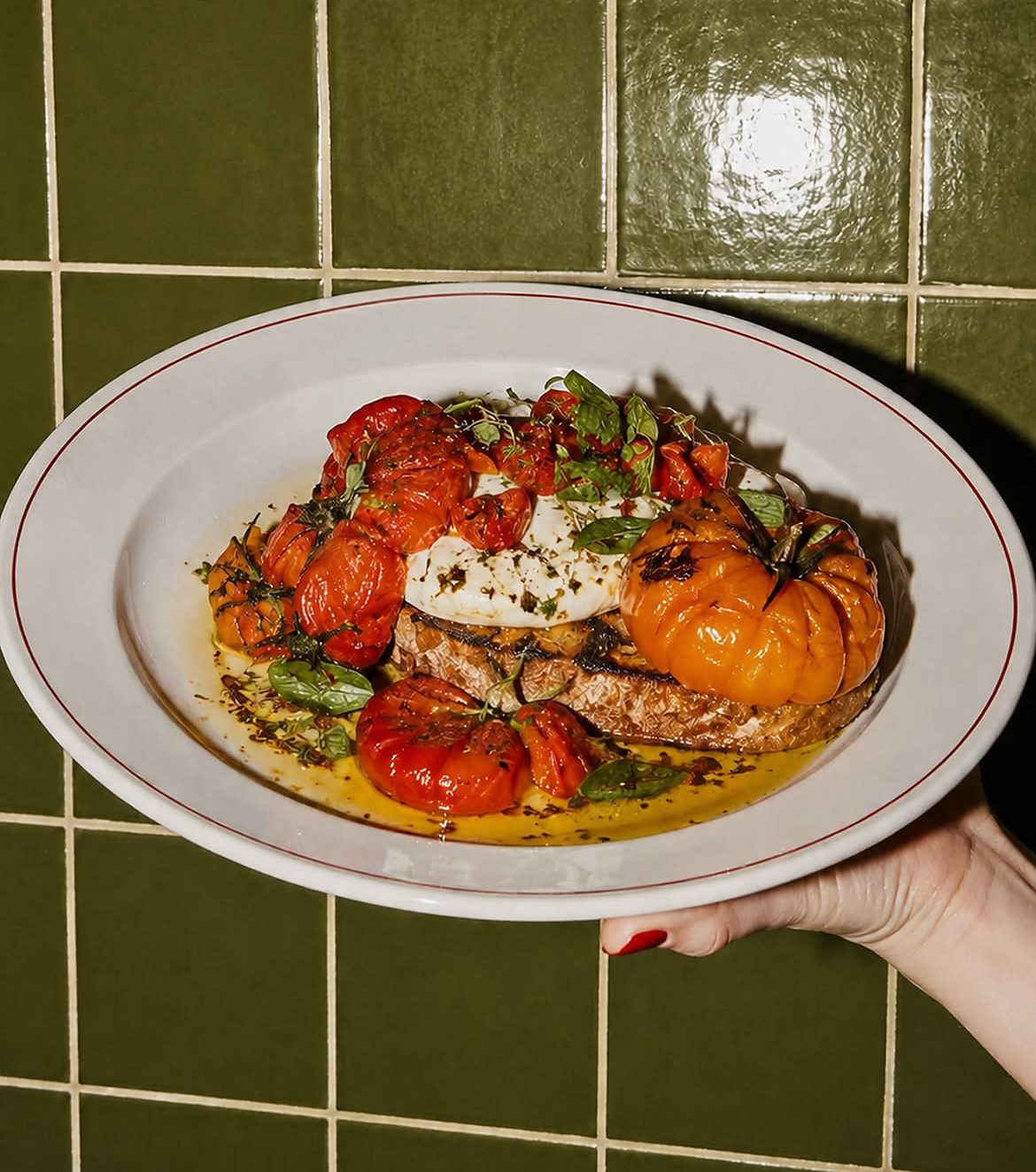 Assiette de tomates rôties et burrata tenue devant un mur de carrelage vert